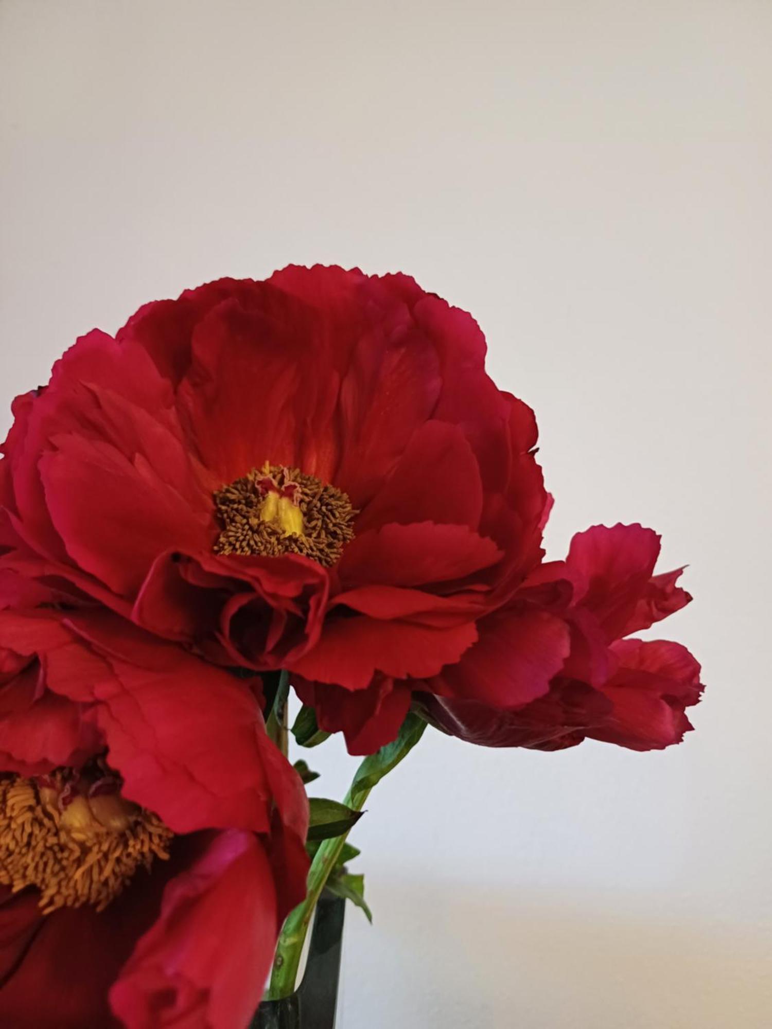 Guesthouse La Maison De Fille 디에스트 외부 사진